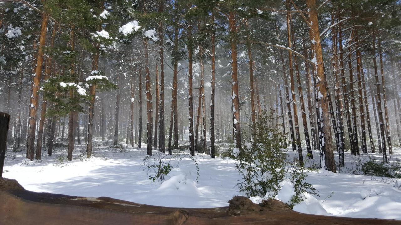 Апартаменты Casuta Din Padure Пьятра-Нямц Экстерьер фото